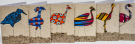 Wenskaarten Kenyan Birds set van 6 kaarten