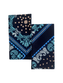 Set van 2 Kitenge Servetten Paysley