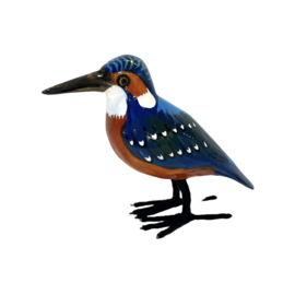 The Blue Kingfisher
