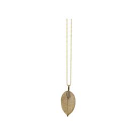 Ketting Eucalyptus Blad Gold