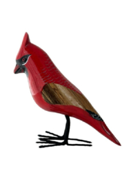 Cardinal XL