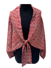 Sari Kimono Top 20