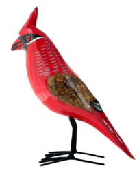 Cardinal XXL