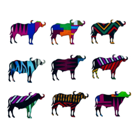 Buffalo Magnets