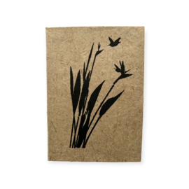 Notebook A5 Birds of Paradise