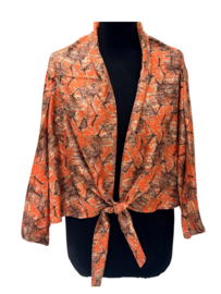 Sari Kimono Top 06