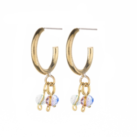 Peacock Hoops