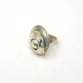 Ring Verzilverd 021