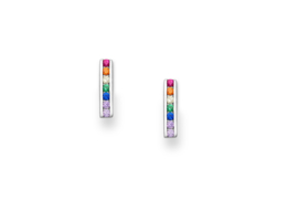 Cubic Rainbow Stud Earrings