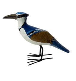 Bluejay XXL