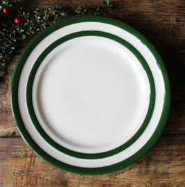 Cornishware Adder Green dinerbord ⌀28cm