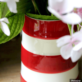 Cornishware Red Vaas Medium - 18cm