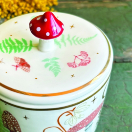House of Disaster Forage Voorraadpotje - Paddenstoel - Cadeaudoos