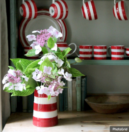Cornishware Red kop en schotel 340ml