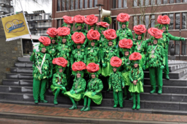 Carnavalsgroep 25