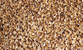 Profit droogloopmat - beige
