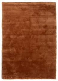 Cosi 16