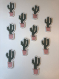 Cactus patch