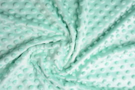 Minky Fleece Mint