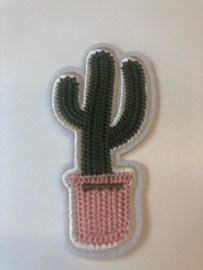 Cactus patch