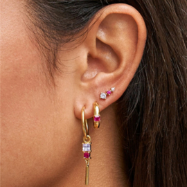 Earparty Roze en Paarse Steentjes