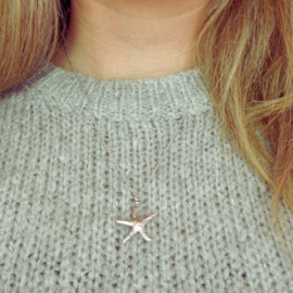 Zilveren Ketting Starfish