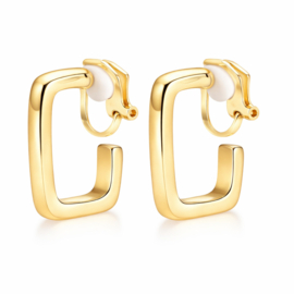 Vierkante Clipoorbellen Minimalistisch