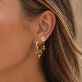 Oorbellenset gypsy