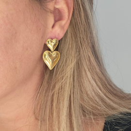 Oorbellen heart duo