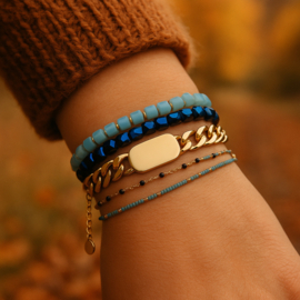 Schakel Armband Plate