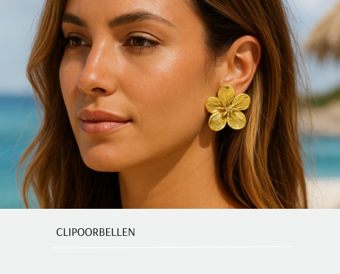 Clip oorbellen | Marody.nl