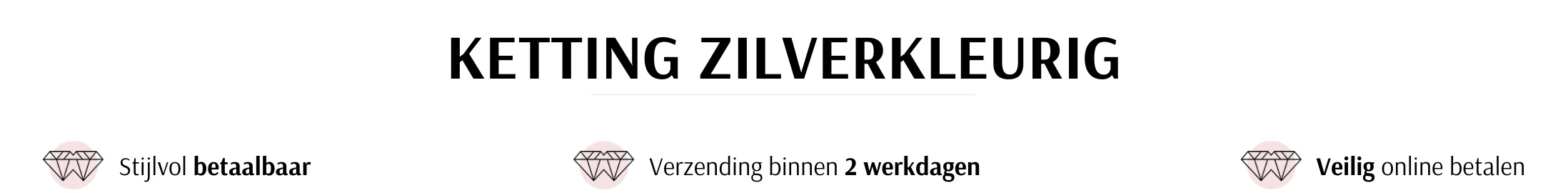 Kettingen zilverkleurig