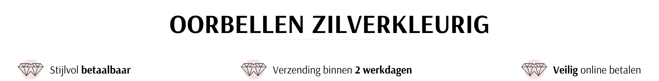 Oorbellen zilverkleurig