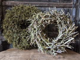 Sobere krans / iron bush