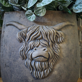Brynxz hooglander ovale pot (groot)