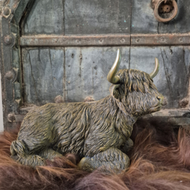 Hooglander liggend (groot)