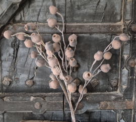 Mespulus stem brown kunsttak