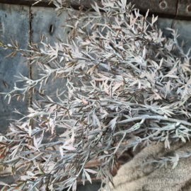 Juniperus grey kunsttak