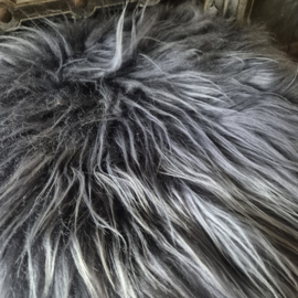 Zitkussen schaap grijs
