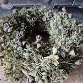 Mini kransje Eucalyptusdopjes
