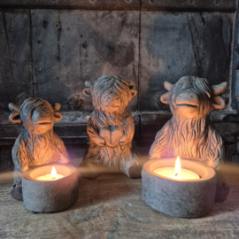 Brynxz hooglander waxinelichthouder (groot)