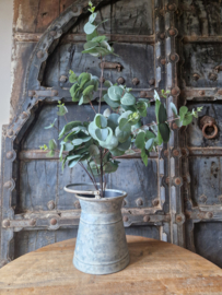 Eucalyptus kunstboom