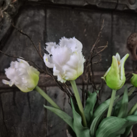 Kunsttulpen bosje wit (parkiet)