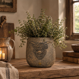 Brynxz hooglander ovale pot (groot)