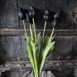 Kunsttulpen bosje zwart 7st.