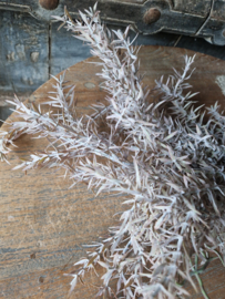 Juniperus bronze kunsttak