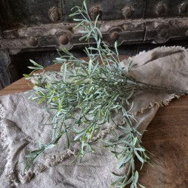 Asparagus kunsttak / bosje