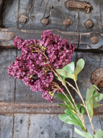 Hydrangea kunsttak paars