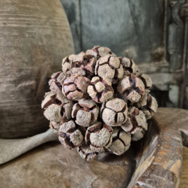 Rota bol bakuli (groot)