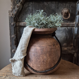 Podocarpus kunsttak / bosje